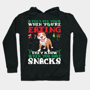 Christmas Dog Eating Snacks Hoodie